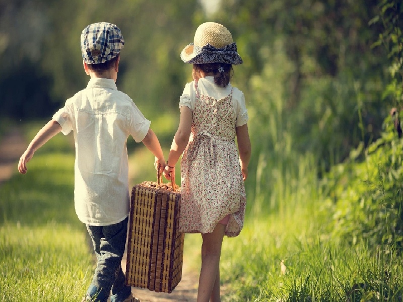 张雪峰试管移植（做完试管检测数值）