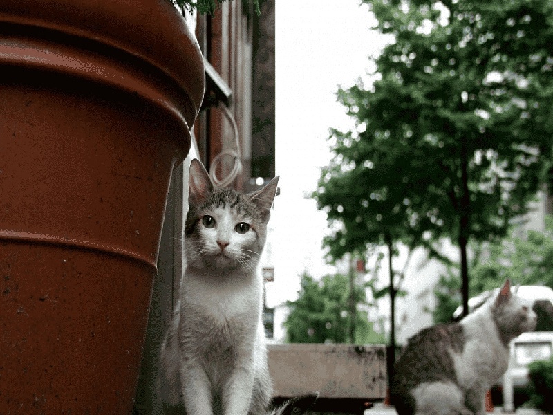 长春代怀最好医院,泰国试管价格高吗？-长春有没有供卵机构_长春供卵试管医院