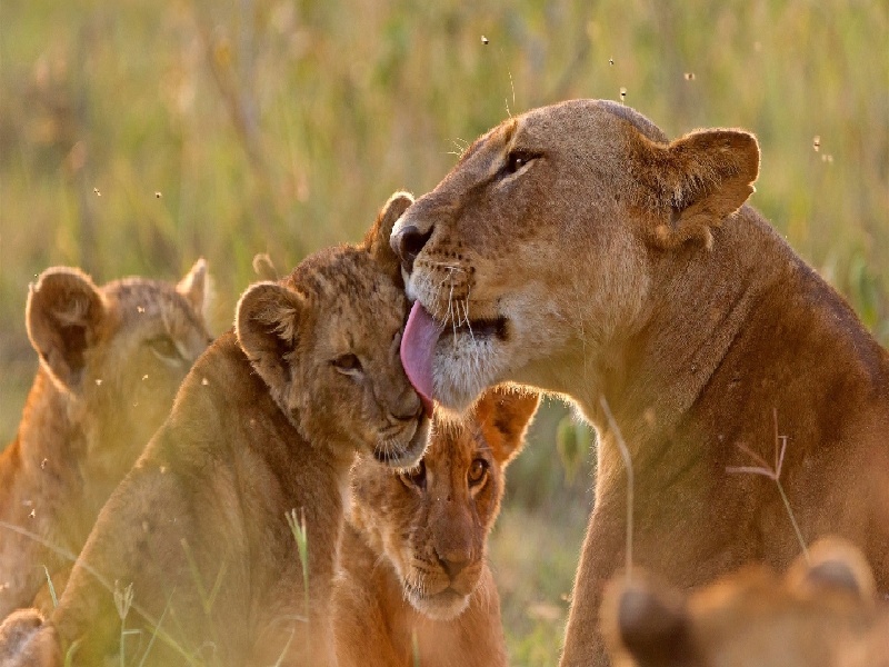 长春三代供卵例子,山东临沂做试管婴儿成功率最高的医院是哪里？如何选-长春